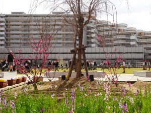 DSC00451