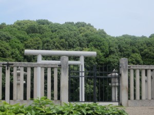 IMG_2608