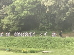 IMG_4419