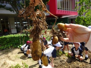 DSC00406[1]