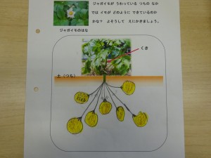 DSC00424[1]