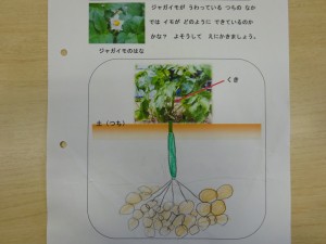 DSC00427[1]