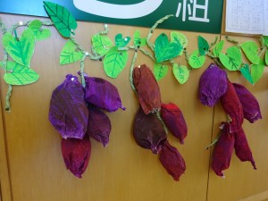 DSC01895[1]