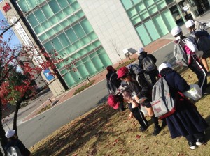 IMG_0282